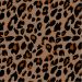 Print - Brown Cheetah